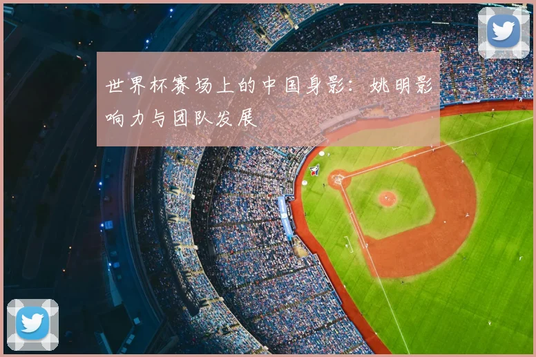 世界杯赛场上的中国身影：姚明影响力与团队发展