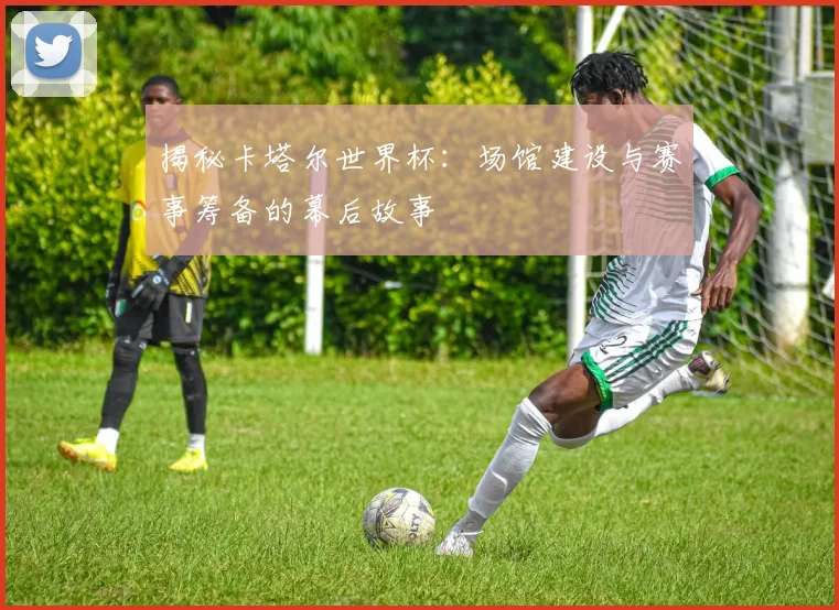 揭秘卡塔尔世界杯：场馆建设与赛事筹备的幕后故事