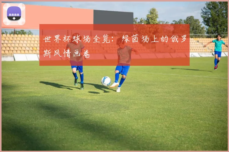 世界杯球场全览:绿茵场上的俄罗斯风情画卷