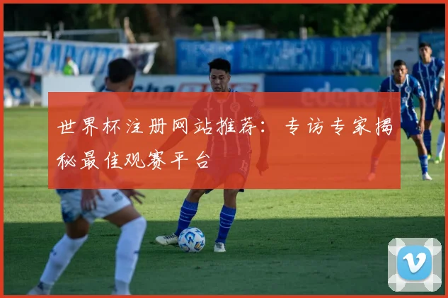 世界杯注册网站推荐：专访专家揭秘最佳观赛平台