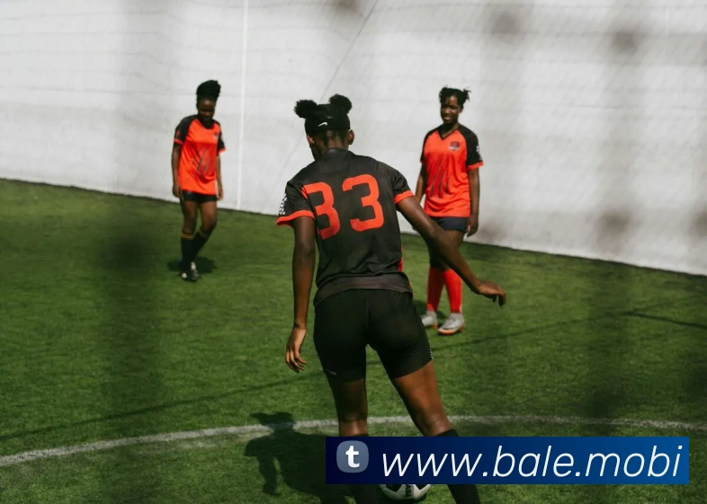 开云手机入口注册平台生态图