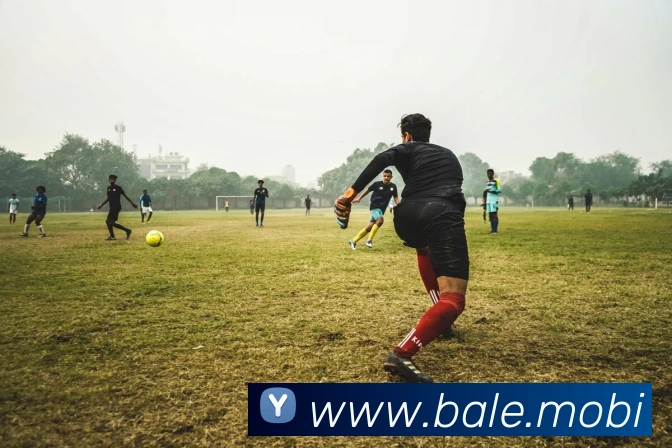 开云手机入口注册全站App